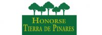 Tierra de Pinares